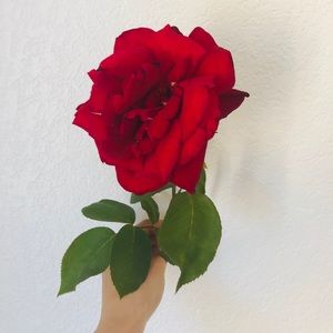 Meet your Posher, Anahid